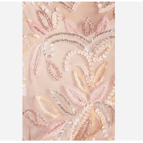 NEW Adrianna Papell Blush Pink Floral Beaded Mesh Illusion Blouson Gown  Size 4P - Picture 4 of 9